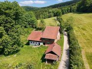 Ehemalige Hofstelle in Alleinlage Hier würde ein König sein Schloss bauen - Neukirchen (Bayern)