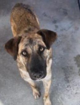 Rocco blickt hoffnungsvoll in Zukunft - München