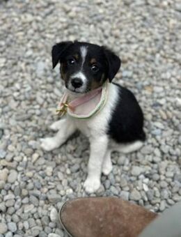 Sabrin, kleiner Entdecker, ca. 3 Monate, - Vaterstetten