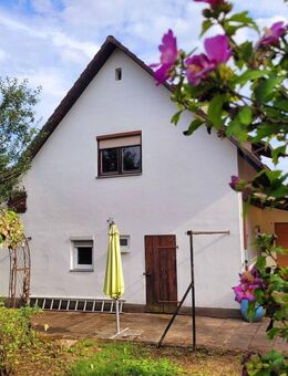 Sanierungsbedürftiges Einfamilienhaus mit viel Potential und schönem Obstgarten in Reichartshausen - Reichartshausen
