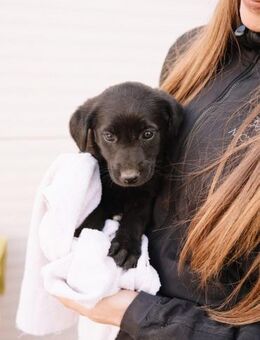 Heldin Mai - Ellerbek