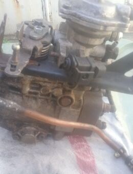 Vw Golf1 Gtd Golf2 Gtd 1,6L Td CY Motor Bosch Einspritzpumpe - Worms