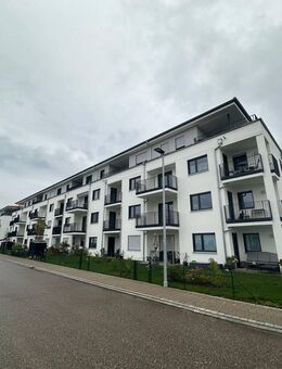 Neuwertige 2 ZKB Wohnung mit Balkon in Rain - Rain (Regierungsbezirk Schwaben)