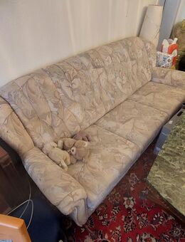 Wohnzimmer-Couch (Schlafcouch) mit 1 Sessel - Bad Homburg (Höhe)