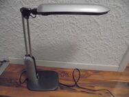 Eschenbach Fluorescent Desk Lamp - Trier