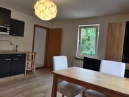 möbliertes, gemütliches 1-Zimmerwohnung mit Einbauküche zu vermieten. - Dresden