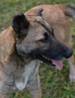 SAMAYA - mit Spaß lernen und toben - Overath