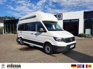 VW California, Crafter Grand California 600, Jahr 2020 - Neuenburg (Rhein)