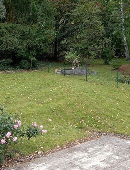 Großzügige 4-Zimmerwohnung in Eltmann - Eltmann