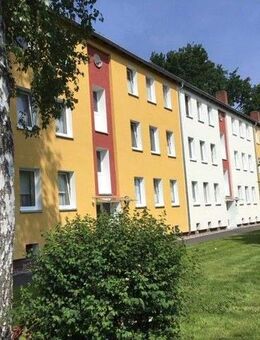 Reinkommen und Wohlfühlen: ansprechende 4-Zimmer-Wohnung im Quartier Silberborn - Kassel