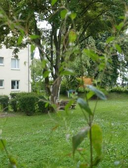 4-Zimmer-Wohnung oberhalb vom Alten Friedhof! - Wiesbaden
