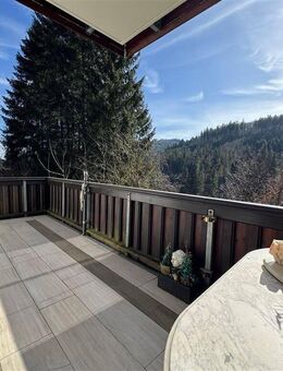 Willingen (Upland) in bester Lage! Sonnenblick auf Berge und Wälder! Natur pur fühlen! - Willingen (Upland)
