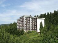 Schöne 2-Zimmer-Ferienwohnung mit geräumiger Terrasse in ruhiger Lage - Neureichenau