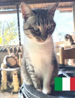 Thea ist kein Baby mehr - Oberhausen (Rheinland-Pfalz)