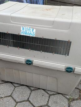 Große Transportbox - Xanten