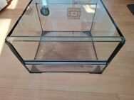 Glas Terarium 30x30x30cm - Nordhausen