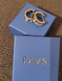 Ohrringe - Habichtswald