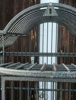 Papageienkäfig - Schönberg (Regierungsbezirk Oberbayern)