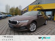 Skoda Octavia, 2.0 TDI Ambition FRONT, Jahr 2021 - Oschersleben (Bode)