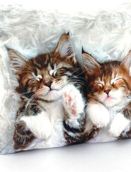 Weckbrodt Dekokissen Katzen, Kissenhülle ohne Füllung, 1 Stück