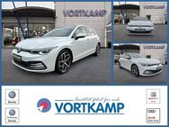 VW Golf, Style IQLight Harman, Jahr 2020 - Gronau (Westfalen)