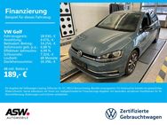 VW Golf, 1.0 TSI IQ Drive, Jahr 2019 - Sinsheim