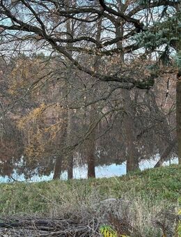 Traumgrundstück direkt am Krummersee - Mittenwalde (Landkreis Dahme-Spreewald)