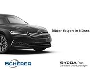 Skoda Kamiq, 1.0 TSI Ambition, Jahr 2023 - Neustadt (Weinstraße)