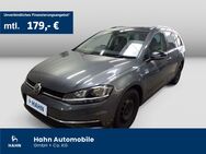 VW Golf Variant, 1.6 TDI IQ DRIVE, Jahr 2019 - Wendlingen (Neckar)