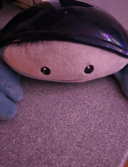 Kinderlicht mit Musik - Magdeburg