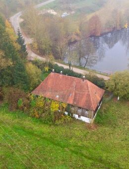 Mühle mit Weiher - Thalmassing