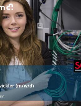 NET - Entwickler (m/w/d) - Lohr (Main)