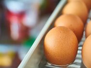 Kühlschrankteile – Bauknecht, Gaggenau, Indesit, Juno, Ignis – Leipzig Ersatzteile - Leipzig