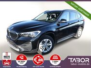 BMW X1, 220 Steptronic xDrive25e Advantage, Jahr 2020 - Kehl