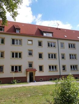 4-Raum-Wohnung in ruhiger Wohnlage von Elsnig - direkt am Wald - Elsnig