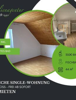***Pfiffige Single-Wohnung in Fischbach zu vermieten!*** - Fischbach (Landkreis Birkenfeld)