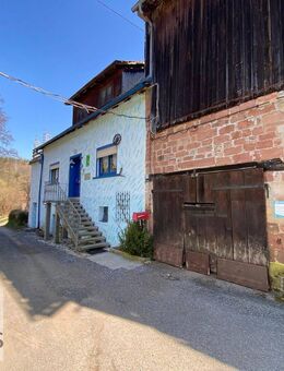 Idyllisches Anwesen mit großem Grundstück, Scheune u. Doppelgarage - Natur pur in der Nähe von Mudau - Mudau