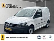 VW Caddy, 1.4 TGI EcoProfi Cargo, Jahr 2018 - Luckenwalde