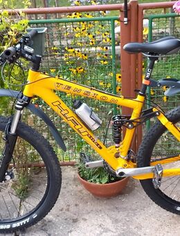 Hai-Bike Tension - Mountainbike - Filderstadt