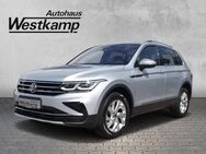 VW Tiguan, 2.0 TDI Elegance Panodach IQ-Light, Jahr 2020 - Frechen