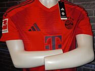 FC BAYERN MÜNCHEN Heim-Trikot 24/25 neu - Krefeld Zentrum