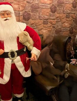 Weihnachtswunsch ! - Bad Saarow