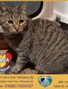 Ioana träumt von einem eigenen Zuhause! - Waakirchen