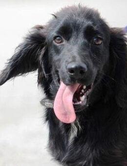 Ist Emile nicht einfach nur süß? - Karben