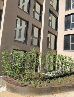 Provisionsfrei, Neubau, Erstbezug, 2-Zimmer Wohnung im EG mit Loggia und Terrasse im Zollhafen - Mainz
