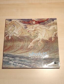 Verschiedene Schallplatten zu verkaufen - Bad Hersfeld