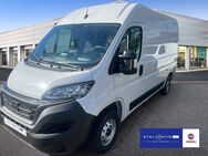 Fiat Ducato, 35 140 Multijet L2H2 (EURO 6d), Jahr 2024 - Hamburg