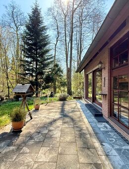 Ansprechendes + großzügiges Einfamilienhaus in idyllischer & dennoch stadtnaher Lage - Celle