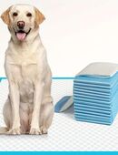 60 Extra Große Super Saugfähige Hundepfützen 33cm x 45cm​ in 85055