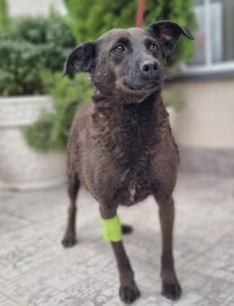 Lily - sanft und hoffnungsvoll - Müglitztal